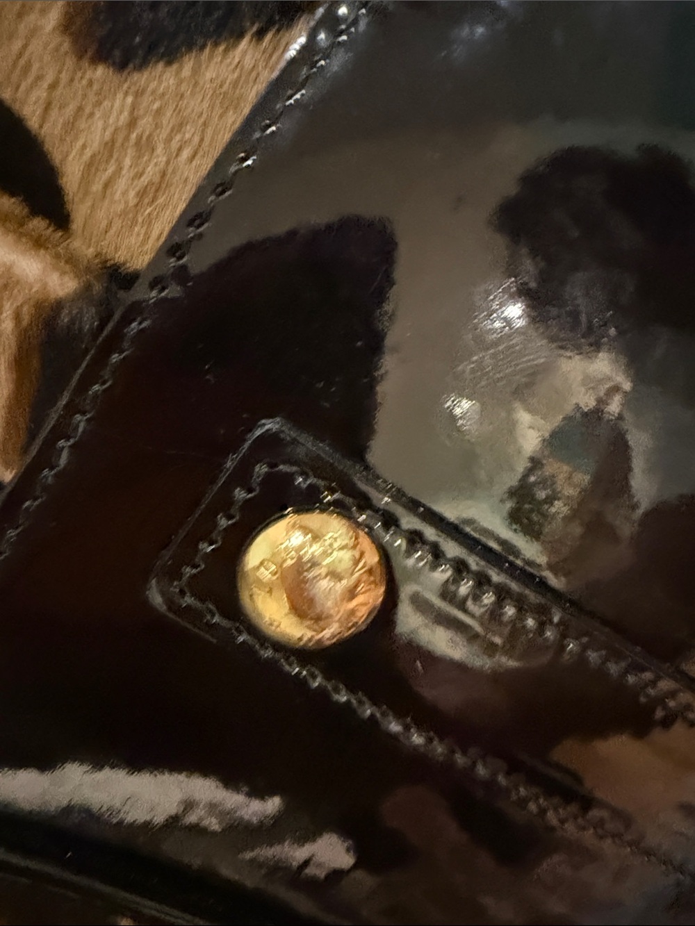 Louis Vuitton Monogram Leopard Stephen Bag - Picture 7 of 16